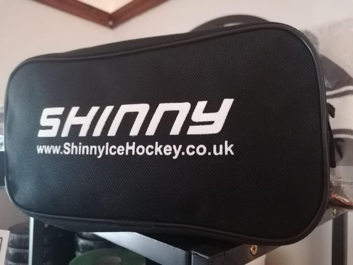 SHINNY ACCESSORY BAG